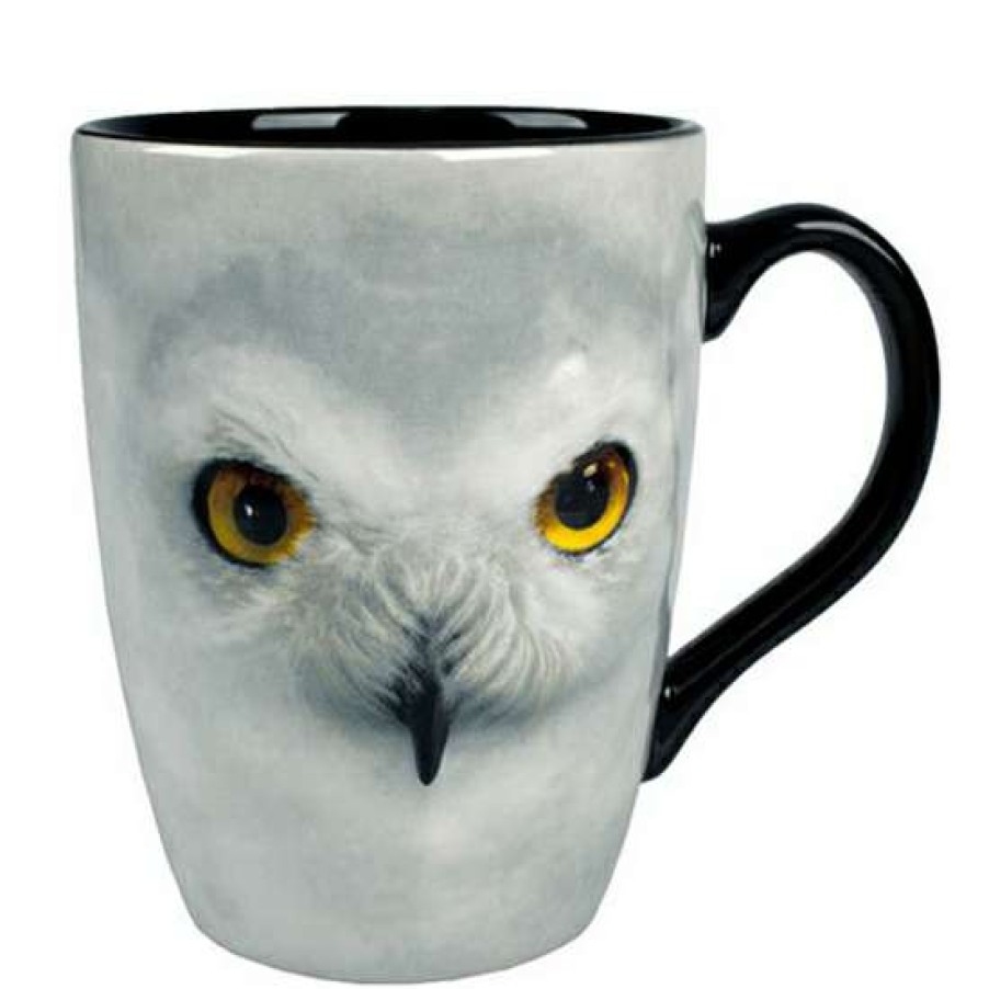 Home & Decor * | Outlet Disney Universal Mug Hedwig Ceramic Mug