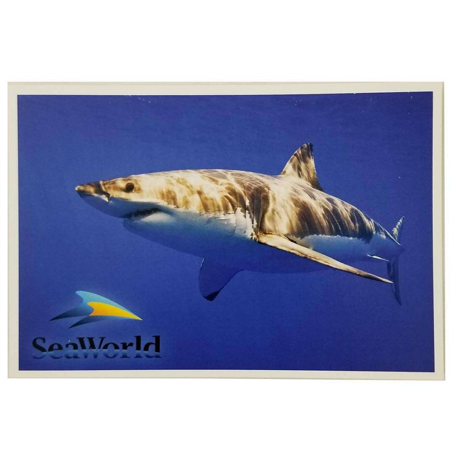 Home & Decor * | Seaworld Postcard Great White Shark Online Disney