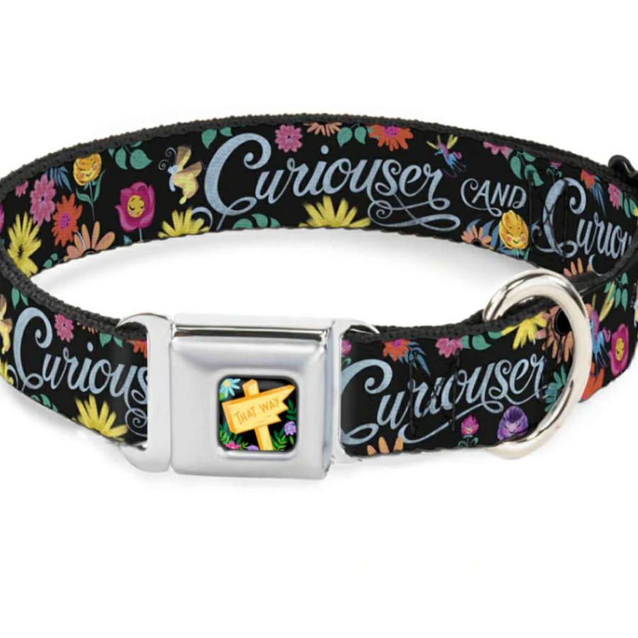 Home & Decor * | Sells Cheap Disney Designer Pet Collar Alice In Wonderland Curiouser & Curiouser